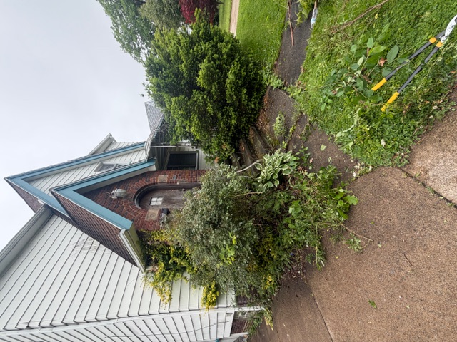 Front entry landscape bed before cleanup and fresh mulch