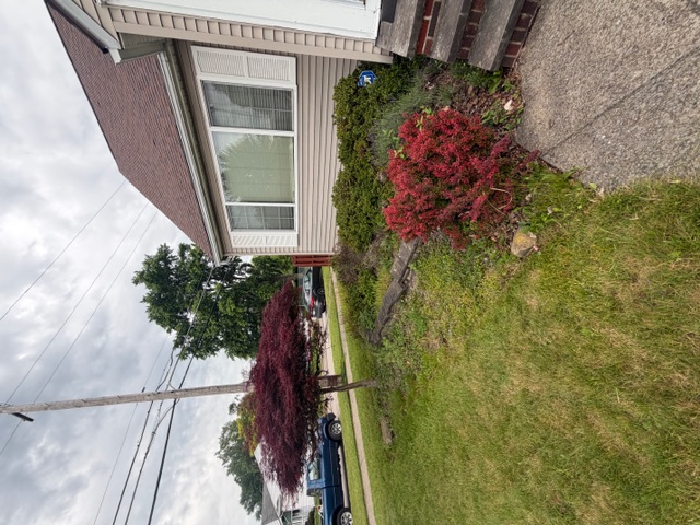 Front landscape bed before fresh mulch and cleanup