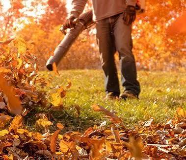 Leaf blower clearing autumn leaves from a lawn during seasonal cleanup